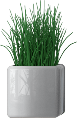 landing-flower landing-flower